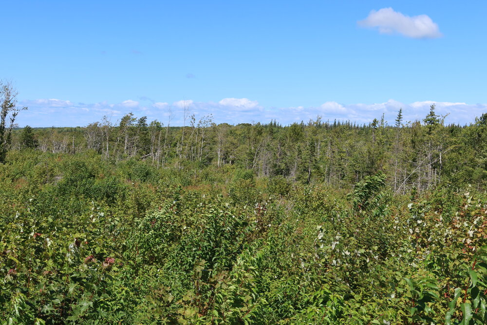 Canadian Land For Sale in Ontario, Nova Scotia, and New Brunswick