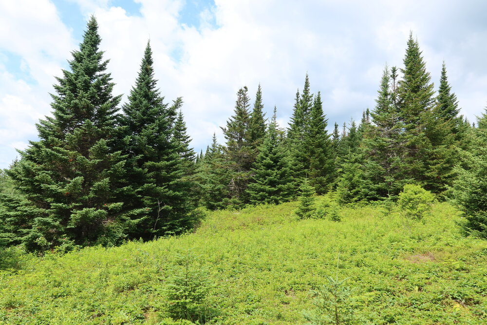 Canadian Land For Sale in Ontario, Nova Scotia, and New Brunswick