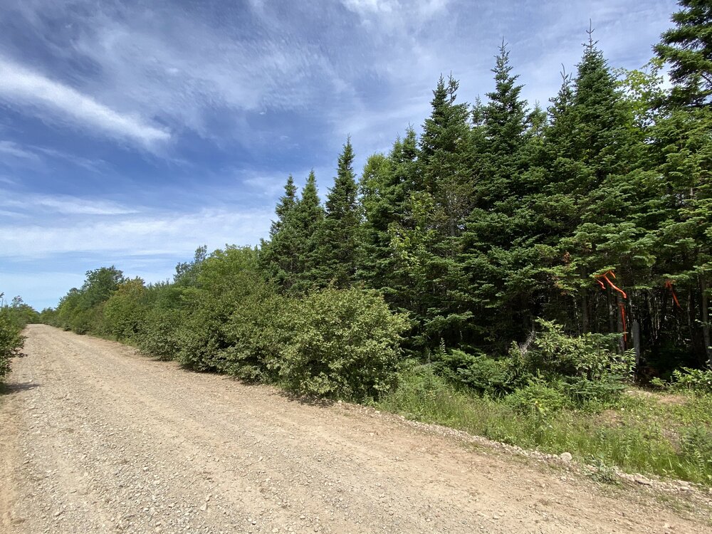 Canadian Land For Sale in Ontario, Nova Scotia, and New Brunswick