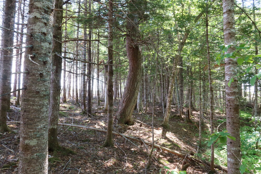 Canadian Land For Sale in Ontario, Nova Scotia, and New Brunswick