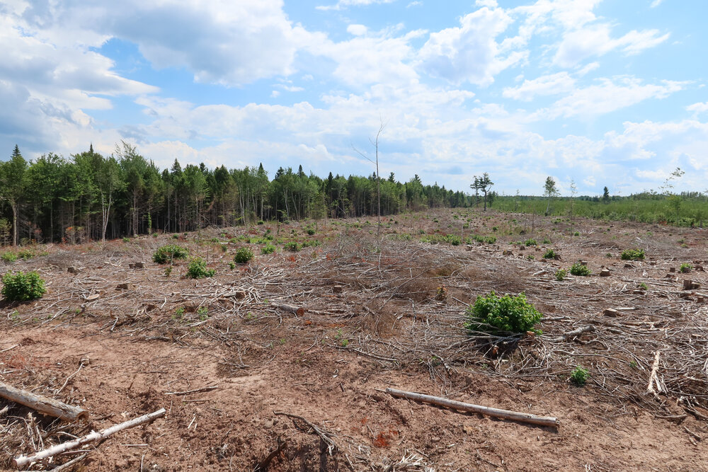 Canadian Land For Sale in Ontario, Nova Scotia, and New Brunswick