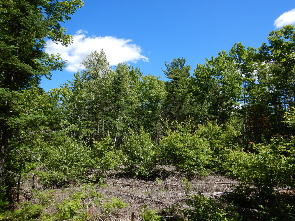 Canadian Land For Sale in Ontario, Nova Scotia, and New Brunswick