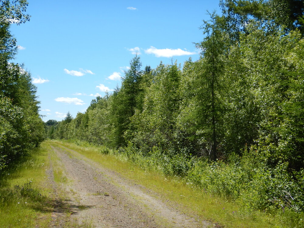 Canadian Land For Sale in Ontario, Nova Scotia, and New Brunswick