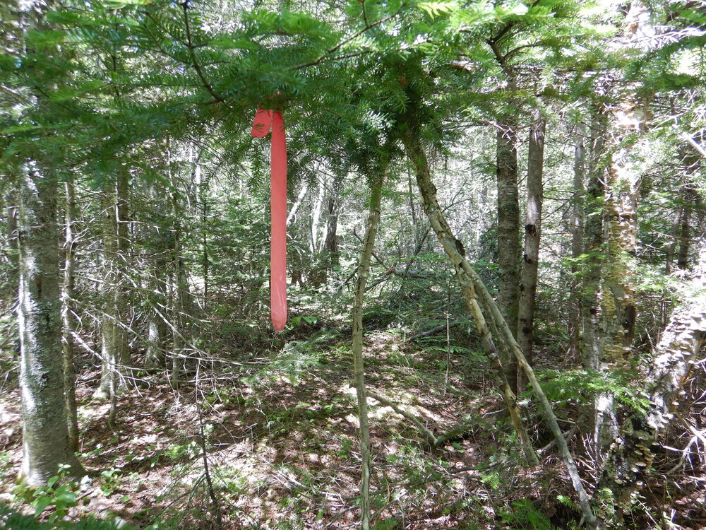 Canadian Land For Sale in Ontario, Nova Scotia, and New Brunswick