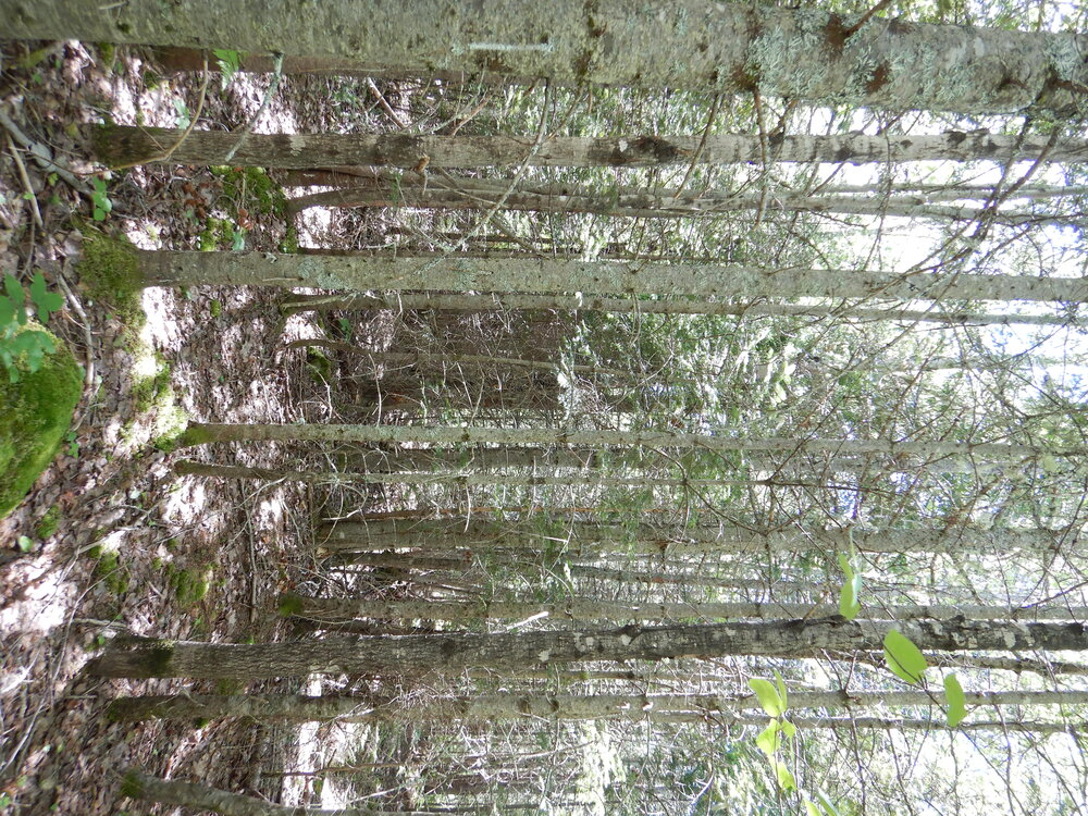 Canadian Land For Sale in Ontario, Nova Scotia, and New Brunswick