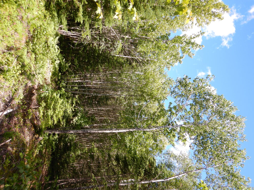 Canadian Land For Sale in Ontario, Nova Scotia, and New Brunswick