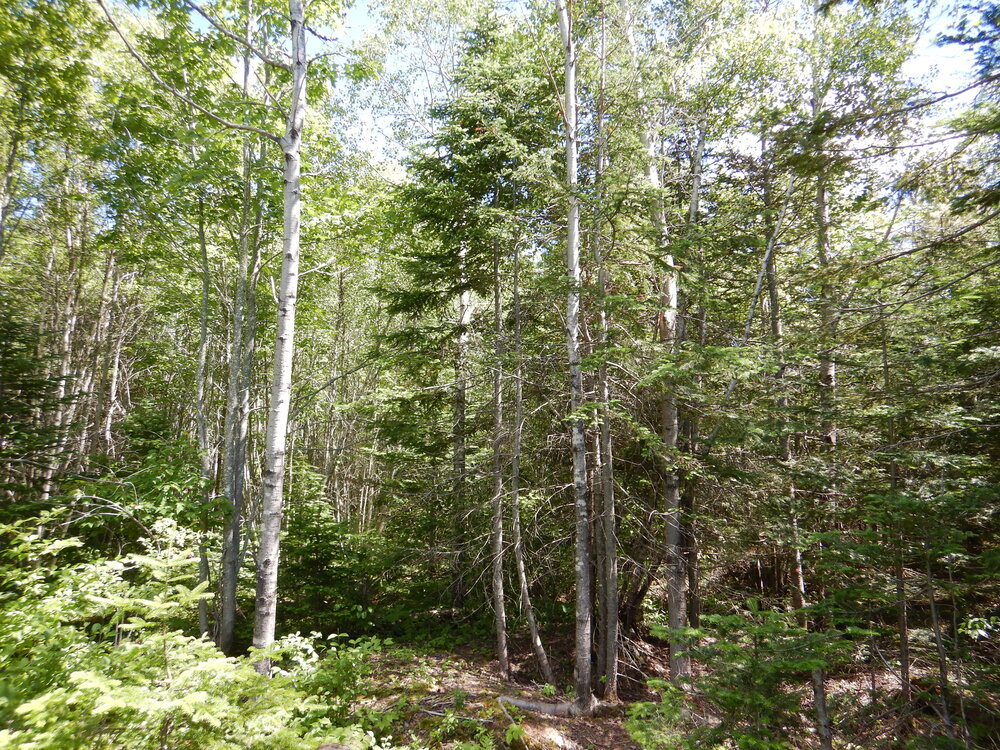 Canadian Land For Sale in Ontario, Nova Scotia, and New Brunswick