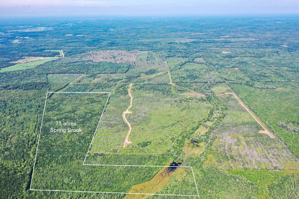 Canadian Land For Sale in Ontario, Nova Scotia, and New Brunswick