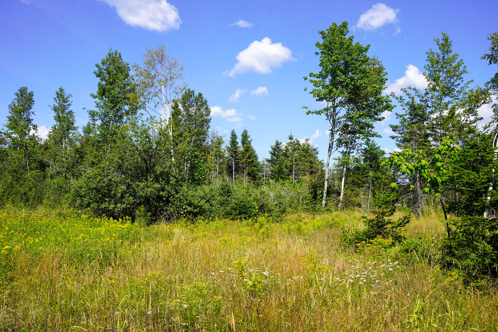 Canadian Land For Sale in Ontario, Nova Scotia, and New Brunswick