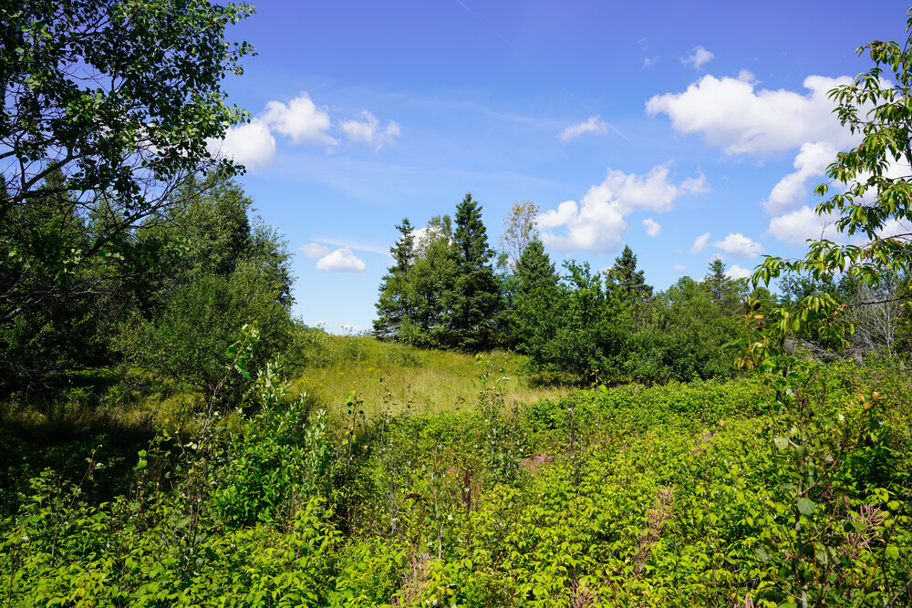 Canadian Land For Sale in Ontario, Nova Scotia, and New Brunswick