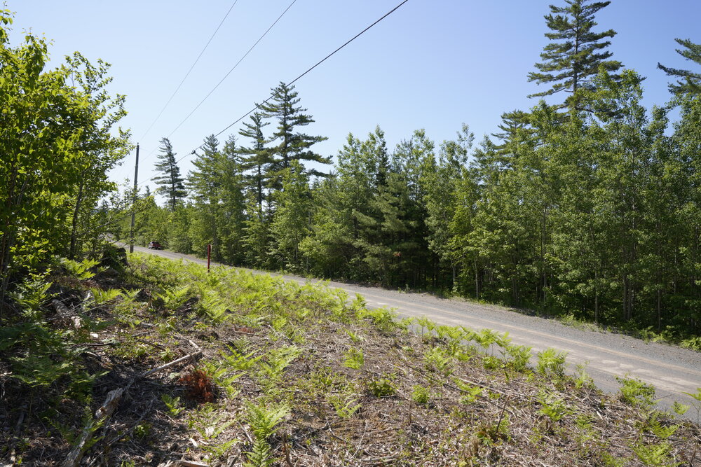 Canadian Land For Sale in Ontario, Nova Scotia, and New Brunswick